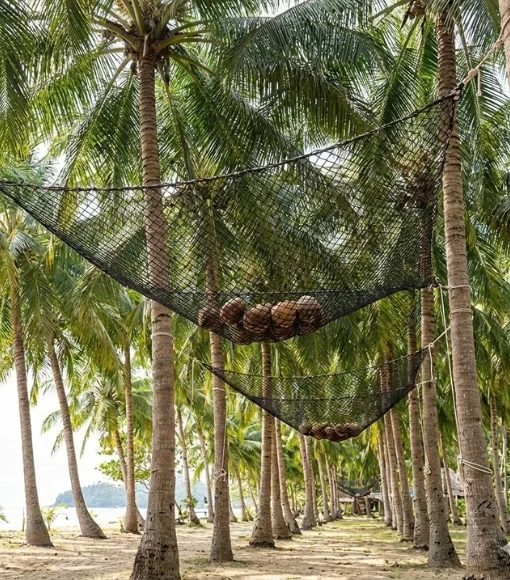 Coconut Tree Nets Closeup